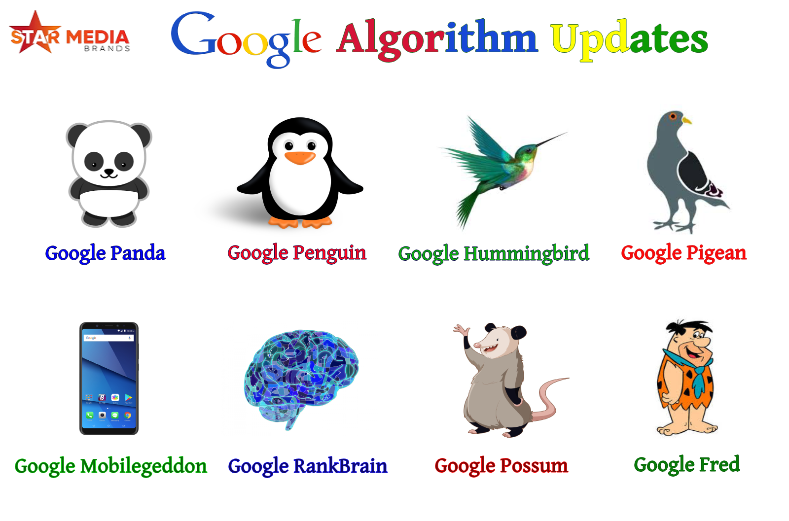Learn About The Google Algorithm Updates